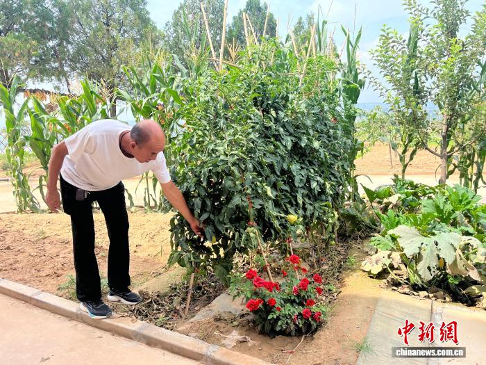 蓝狮娱乐登录:黄河一号路“唤醒”石楼岸